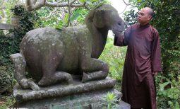 Kỳ lạ 10 linh thú đá nghìn năm tuổi canh gác chùa Phật Tích